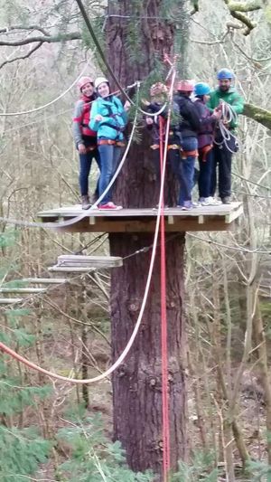 high ropes